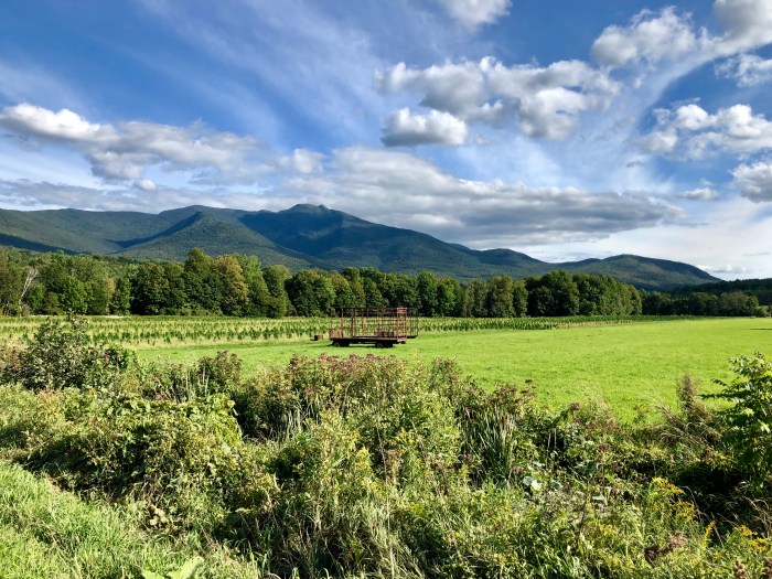 CBD farms in Underhill